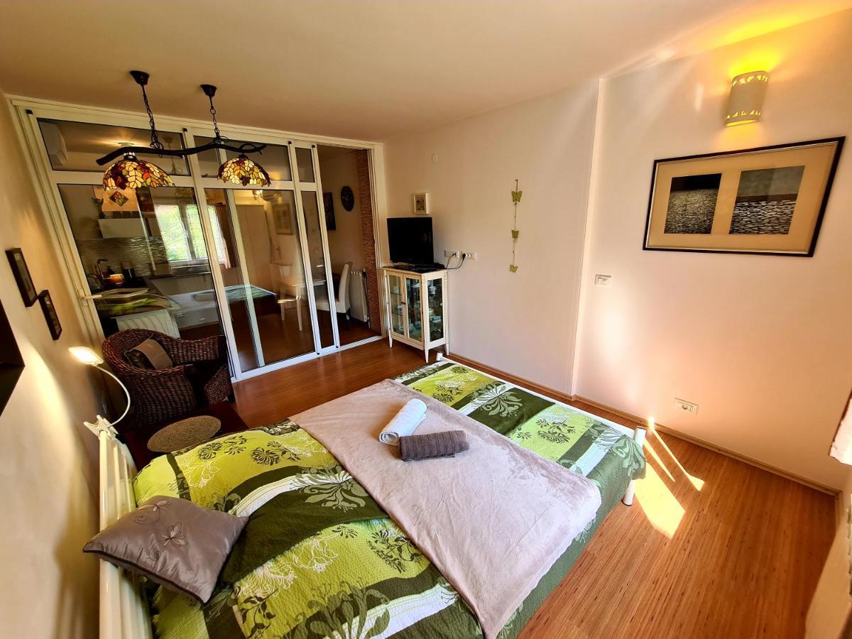Pakua Apartments & Penthouse Ровин Екстериор снимка